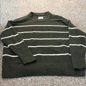 Aerie Dark Green Striped Crewneck Sweater